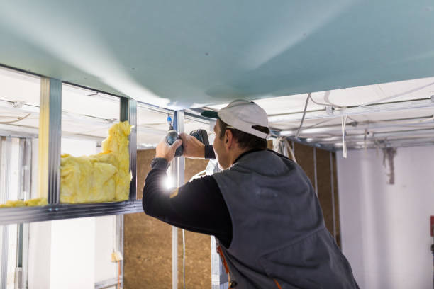 Best Residential Insulation in Oak Grove, MN